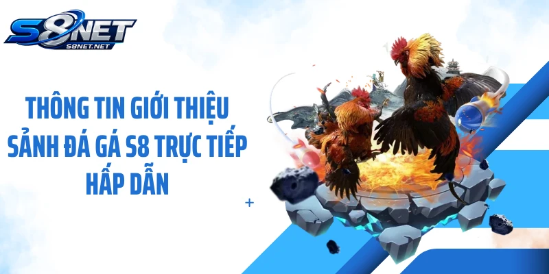 Thông tin giới thiệu sảnh đá gá S8 trực tiếp hấp dẫn