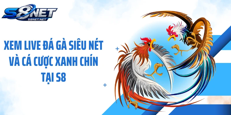 Xem live đá gà siêu nét và cá cược xanh chín tại S8